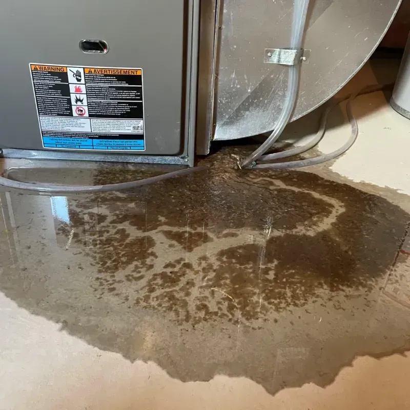 Appliance Leak Cleanup in Savannah, MO